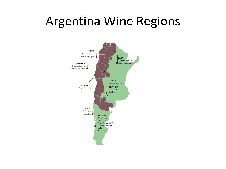 Argentina Wine Regions 