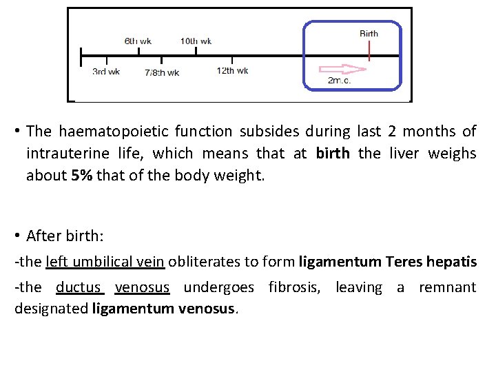  • The haematopoietic function subsides during last 2 months of intrauterine life, which