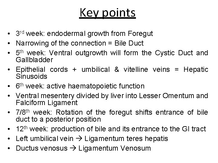 Key points • 3 rd week: endodermal growth from Foregut • Narrowing of the