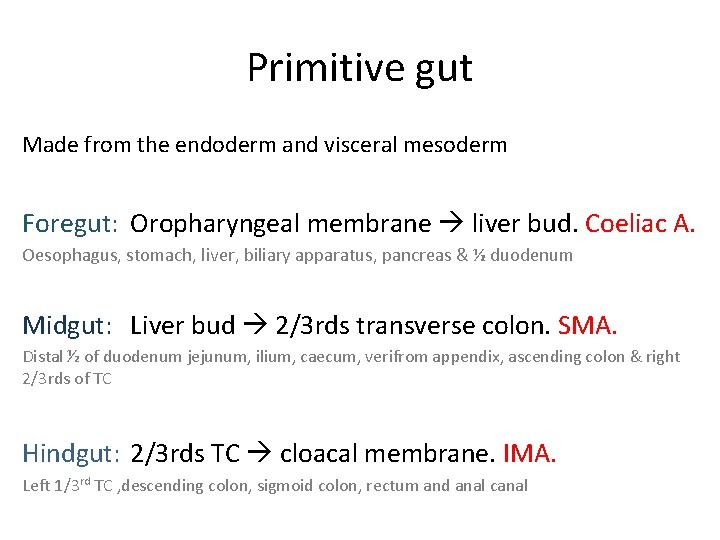 Primitive gut Made from the endoderm and visceral mesoderm Foregut: Oropharyngeal membrane liver bud.
