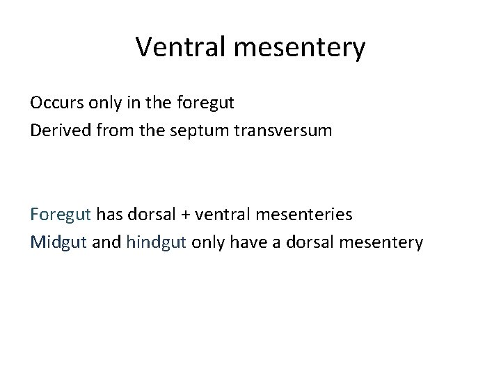 Ventral mesentery Occurs only in the foregut Derived from the septum transversum Foregut has
