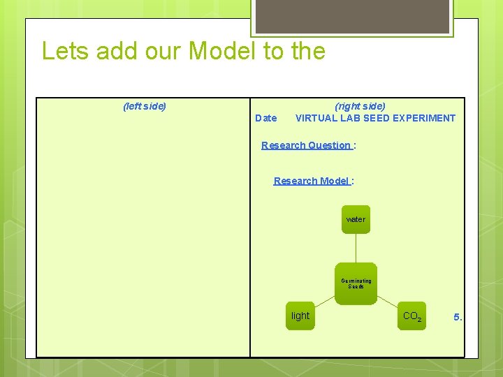 Lets add our Model to the (left side) Date (right side) VIRTUAL LAB SEED