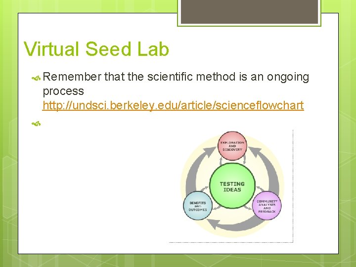 Virtual Seed Lab Remember that the scientific method is an ongoing process http: //undsci.