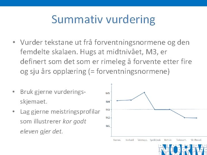 Summativ vurdering • Vurder tekstane ut frå forventningsnormene og den femdelte skalaen. Hugs at