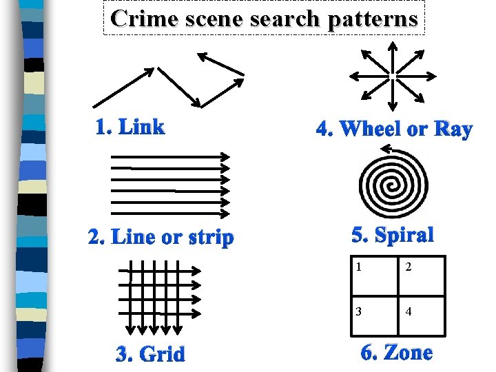 Crime scene search patterns 1. Link 2. Line or strip 3. Grid 4. Wheel