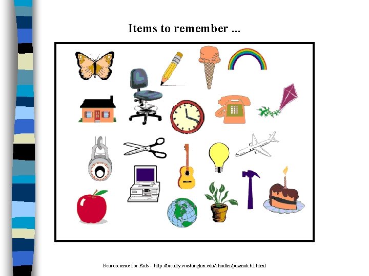 Items to remember. . . Neuroscience for Kids - http: //faculty. washington. edu/chudler/puzmatch 1.