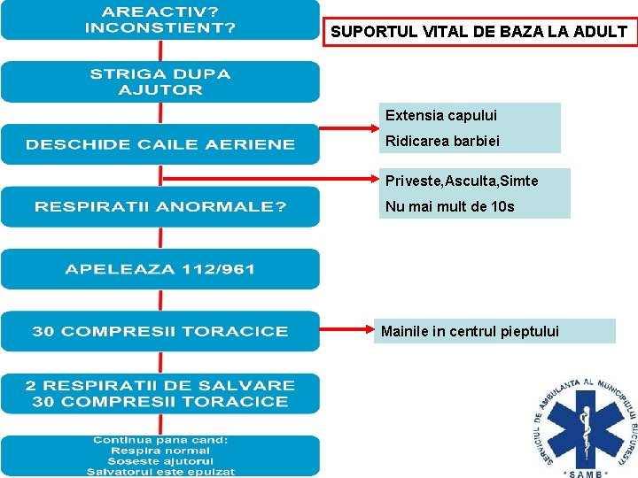 SUPORTUL VITAL DE BAZA LA ADULT Extensia capului Ridicarea barbiei Priveste, Asculta, Simte Nu