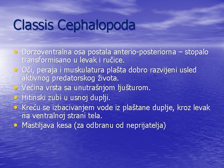 Classis Cephalopoda • Dorzoventralna osa postala anterio-posteriorna – stopalo • • • transformisano u