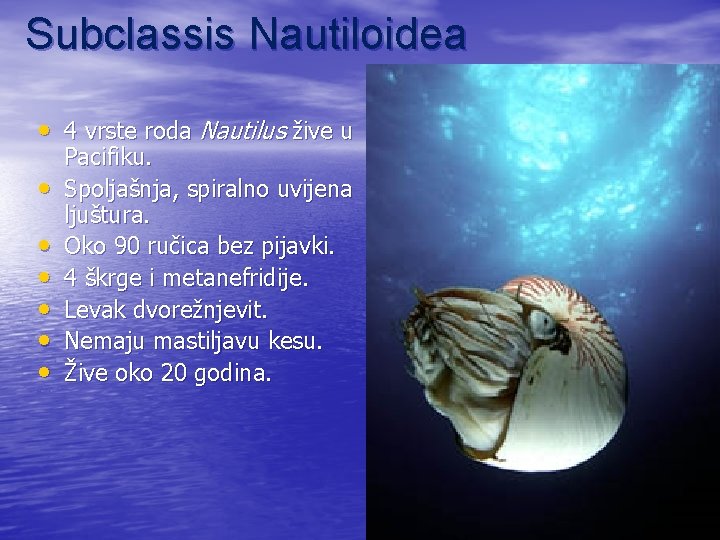 Subclassis Nautiloidea • 4 vrste roda Nautilus žive u • • • Pacifiku. Spoljašnja,