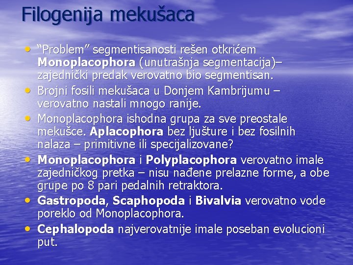Filogenija mekušaca • “Problem” segmentisanosti rešen otkrićem • • • Monoplacophora (unutrašnja segmentacija)– zajednički