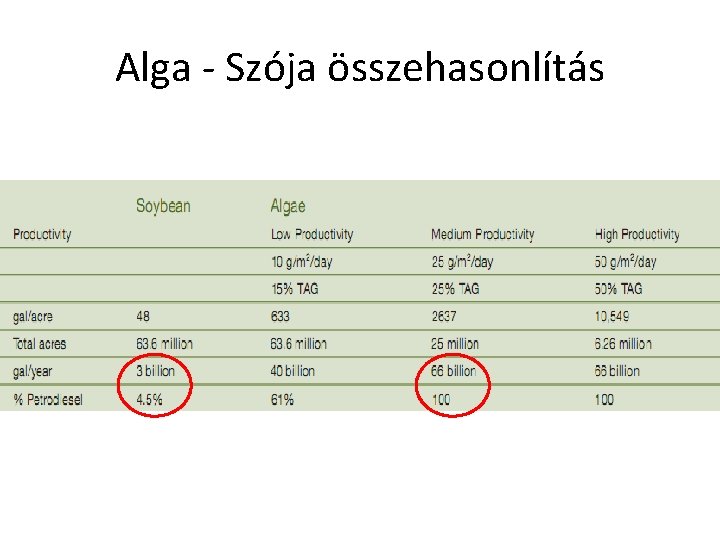 Alga - Szója összehasonlítás 