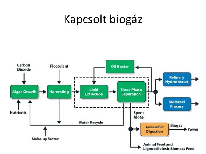 Kapcsolt biogáz 