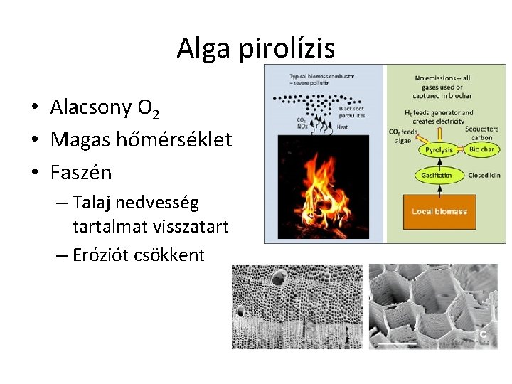 Alga pirolízis • Alacsony O 2 • Magas hőmérséklet • Faszén – Talaj nedvesség