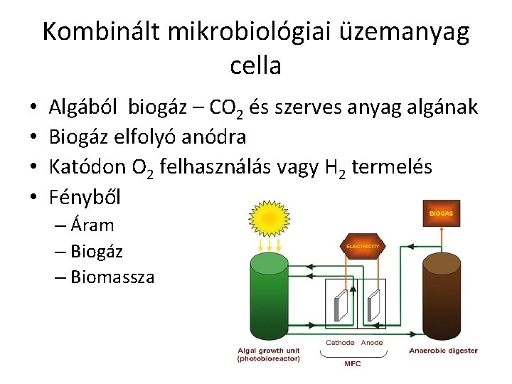 Kombinált mikrobiológiai üzemanyag cella • • Algából biogáz – CO 2 és szerves anyag