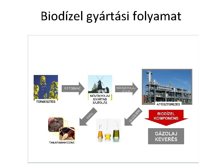 Biodízel gyártási folyamat 