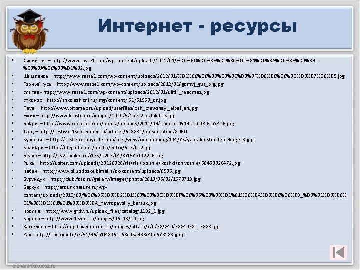 Интернет - ресурсы • • • • • Синий кит – http: //www. rasse
