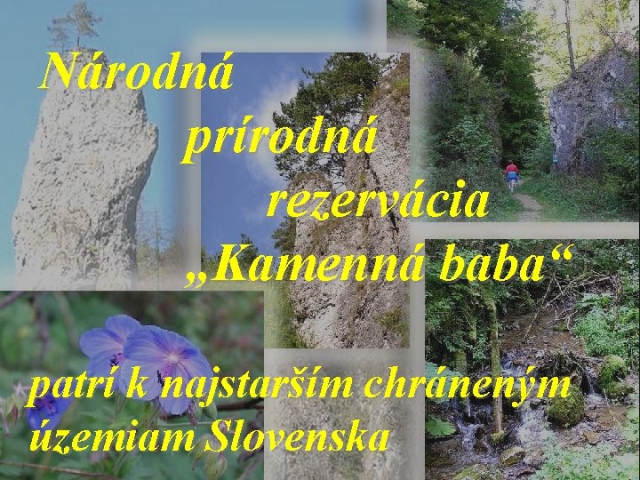 Národná prírodná rezervácia „Kamenná baba“ patrí k najstarším chráneným územiam Slovenska 