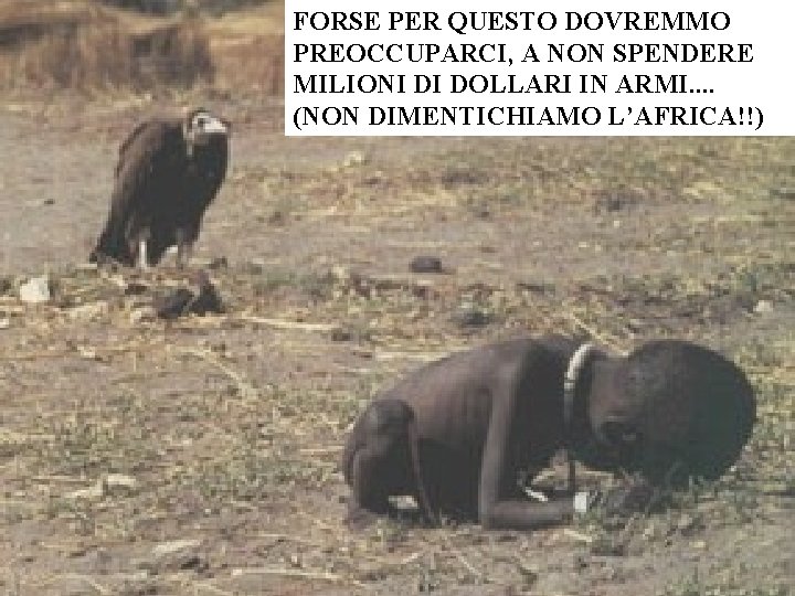 FORSE PER QUESTO DOVREMMO PREOCCUPARCI, A NON SPENDERE MILIONI DI DOLLARI IN ARMI. .