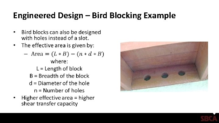 Engineered Design – Bird Blocking Example • 