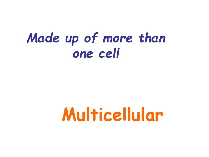 Made up of more than one cell Multicellular 