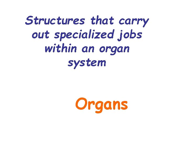 Structures that carry out specialized jobs within an organ system Organs Structures that carry out specialized jobs within an organ system Organs
