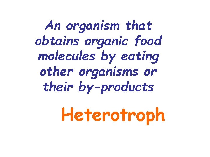 An organism that obtains organic food molecules by eating other organisms or their by-products