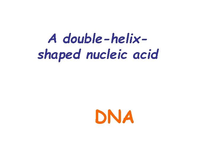 A double-helixshaped nucleic acid DNA 