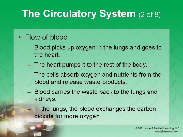 The Circulatory System (2 of 8) • Flow of blood – Blood picks up