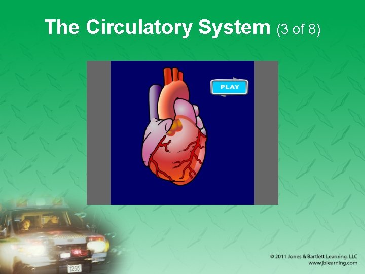 The Circulatory System (3 of 8) 
