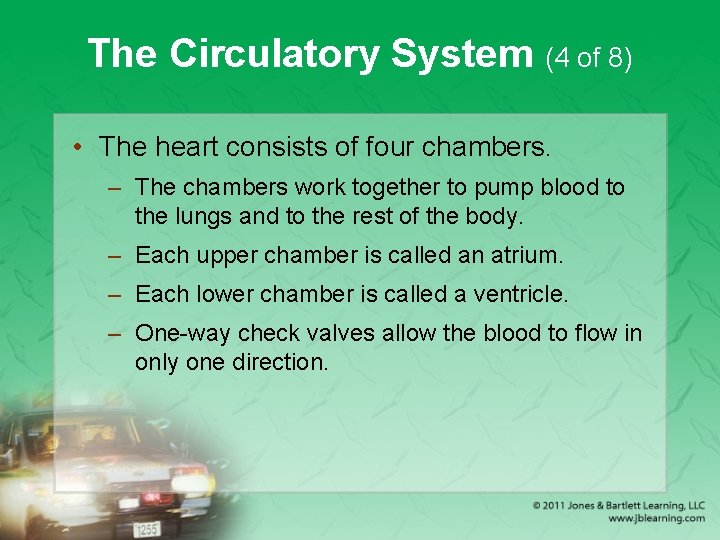 The Circulatory System (4 of 8) • The heart consists of four chambers. –