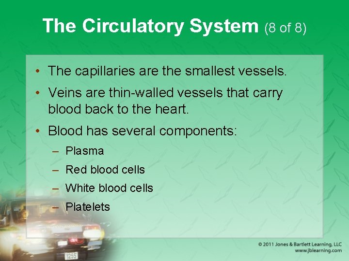 The Circulatory System (8 of 8) • The capillaries are the smallest vessels. •