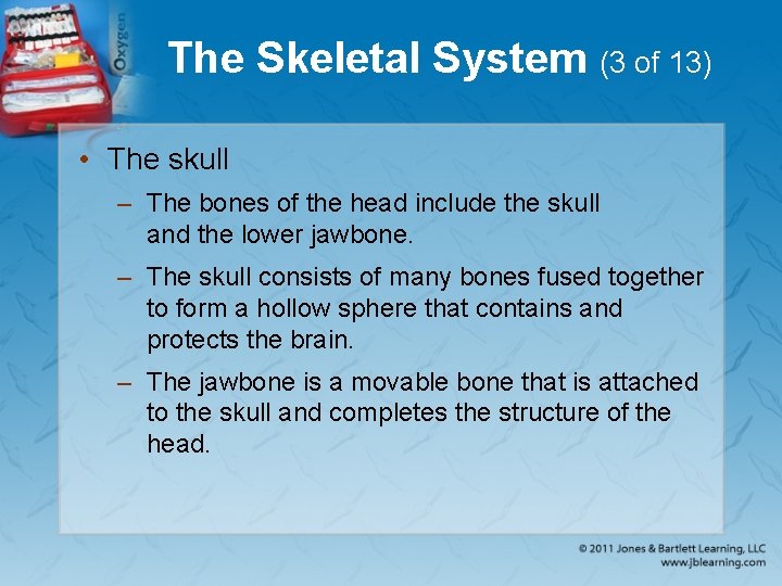 The Skeletal System (3 of 13) • The skull – The bones of the