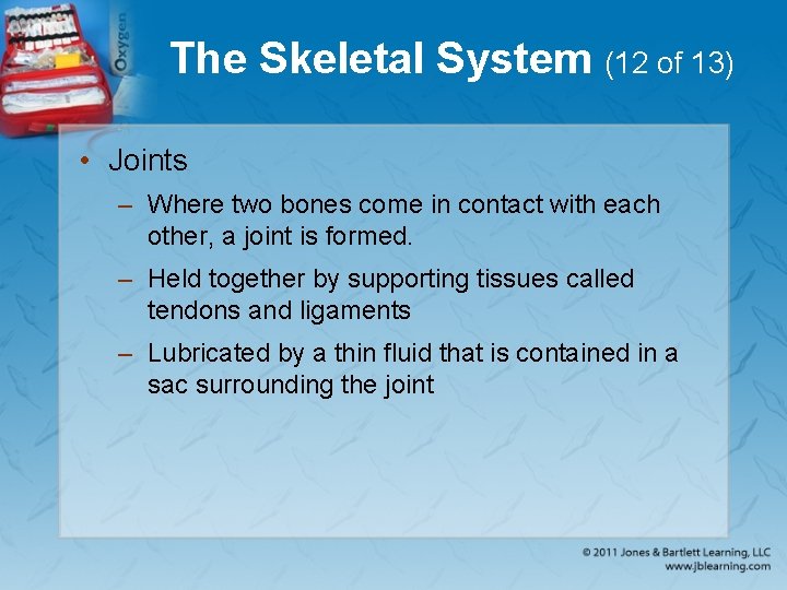 The Skeletal System (12 of 13) • Joints – Where two bones come in