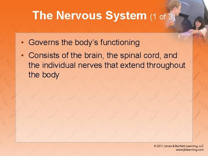The Nervous System (1 of 3) • Governs the body’s functioning • Consists of