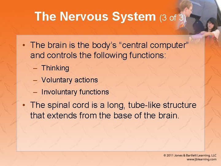 The Nervous System (3 of 3) • The brain is the body’s “central computer”