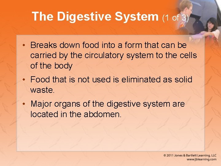 The Digestive System (1 of 3) • Breaks down food into a form that