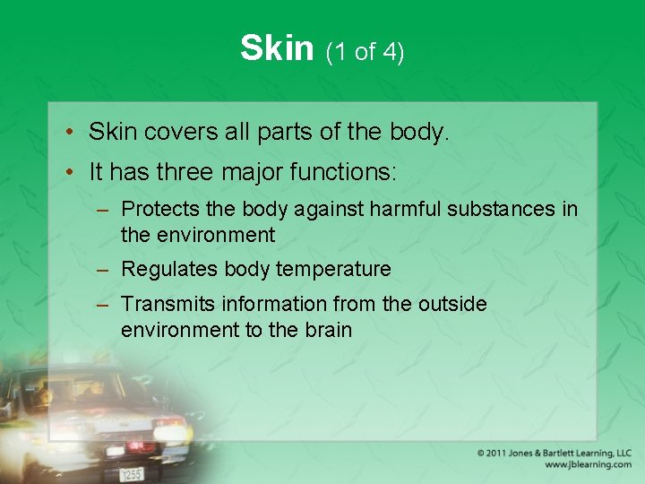 Skin (1 of 4) • Skin covers all parts of the body. • It