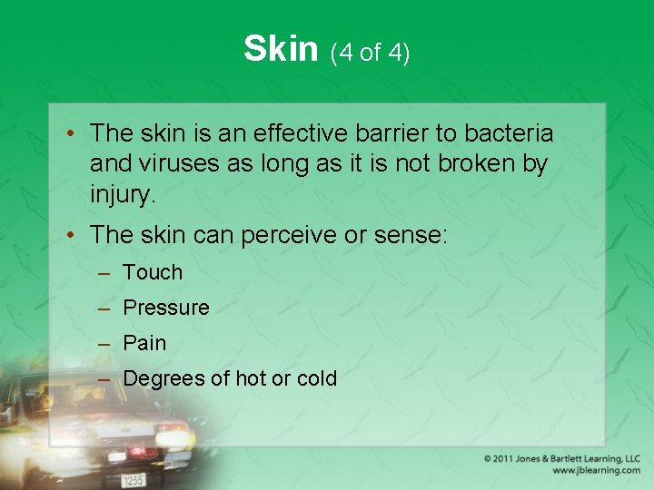 Skin (4 of 4) • The skin is an effective barrier to bacteria and