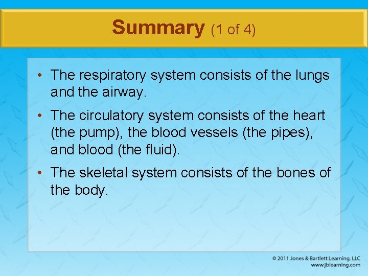 Summary (1 of 4) • The respiratory system consists of the lungs and the