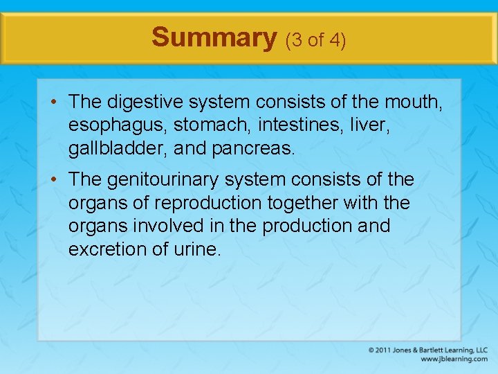 Summary (3 of 4) • The digestive system consists of the mouth, esophagus, stomach,