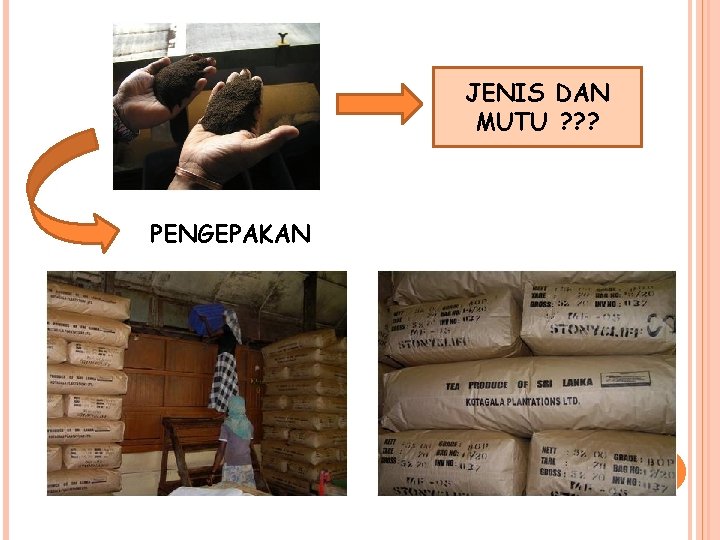 JENIS DAN MUTU ? ? ? PENGEPAKAN 