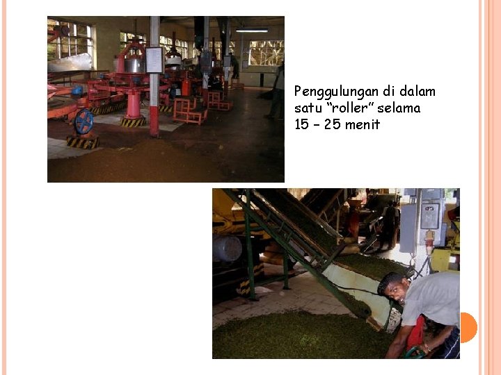 Penggulungan di dalam satu “roller” selama 15 – 25 menit 