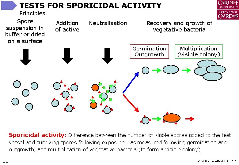 TESTS FOR SPORICIDAL ACTIVITY Principles Spore suspension in buffer or dried on a surface