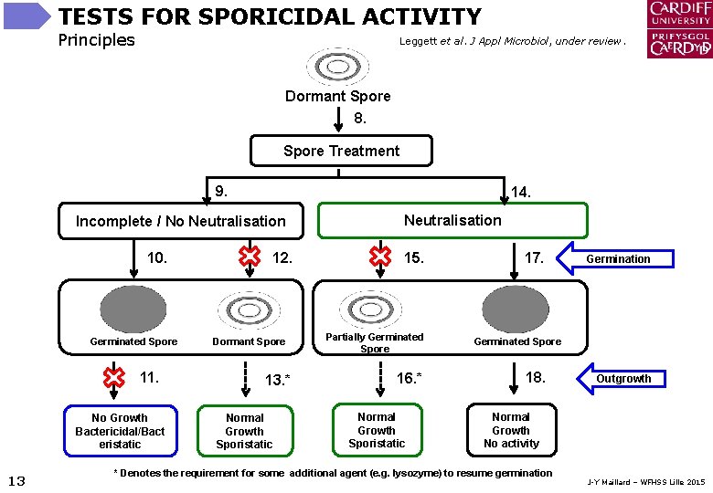 TESTS FOR SPORICIDAL ACTIVITY Principles Leggett et al. J Appl Microbiol, under review. Dormant