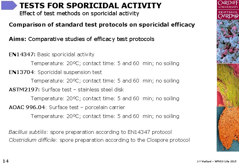 TESTS FOR SPORICIDAL ACTIVITY Effect of test methods on sporicidal activity Comparison of standard