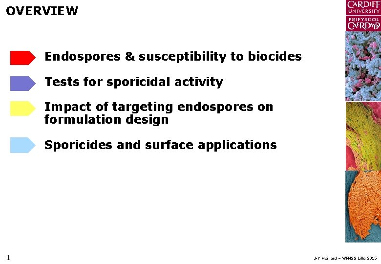 OVERVIEW Endospores & susceptibility to biocides Tests for sporicidal activity Impact of targeting endospores