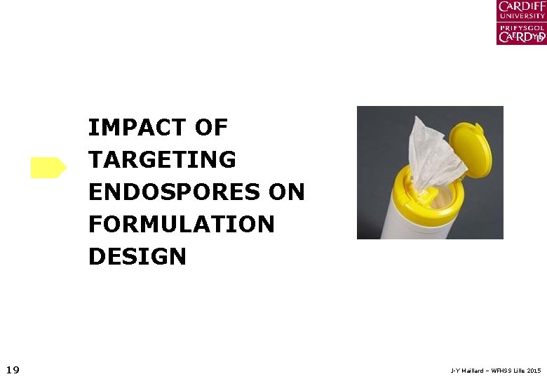 IMPACT OF TARGETING ENDOSPORES ON FORMULATION DESIGN 19 J-Y Maillard – WFHSS Lille 2015