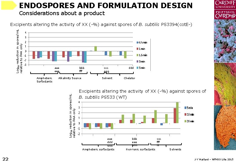 ENDOSPORES AND FORMULATION DESIGN Considerations about a product Log 10 reduction in spores/m. L
