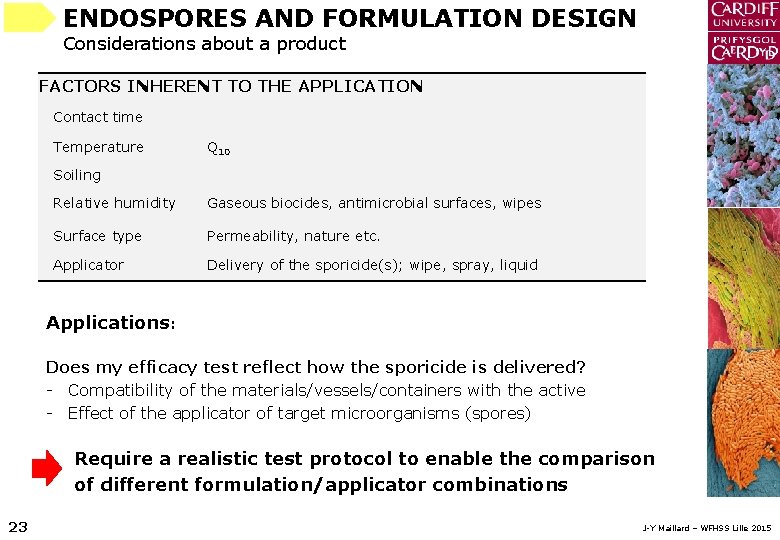 ENDOSPORES AND FORMULATION DESIGN Considerations about a product FACTORS INHERENT TO THE APPLICATION Contact