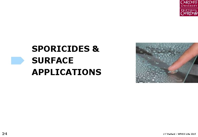 SPORICIDES & SURFACE APPLICATIONS 24 J-Y Maillard – WFHSS Lille 2015 
